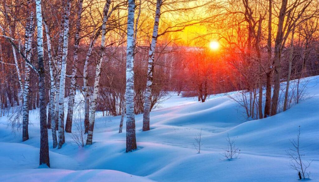 Colorful winter sunset