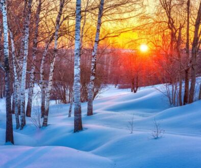 Colorful winter sunset