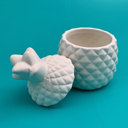 Create Art Studio Ceramics medium pineapple box