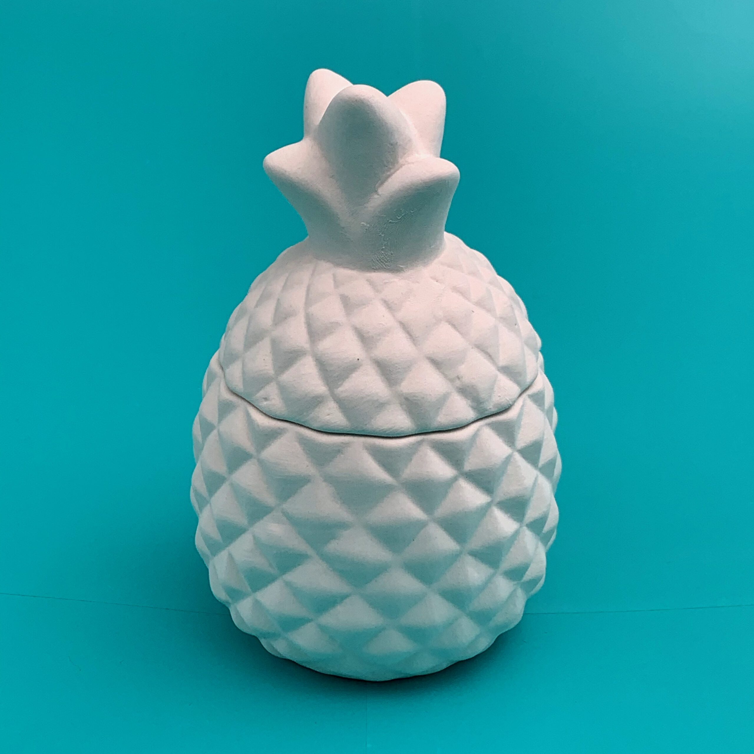 Create Art Studio Ceramics medium pineapple box