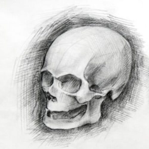 Create Art Studio Online drawing workshops for adults learn to draw a shaded skull