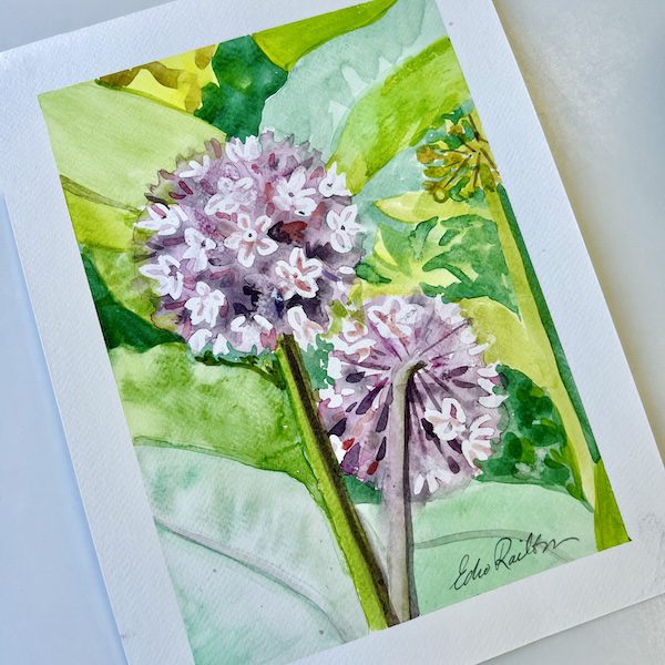 Celebrate the beauty of nature in Create Art Studio's Botanical Watercolours Drawing and Painting class, in our studio and online