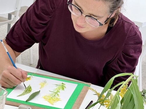 Celebrate the beauty of nature in Create Art Studio's Botanical Art Drawing and Painting class, in our studio and online