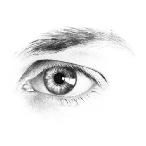 Learn to Draw Expressive Eyes