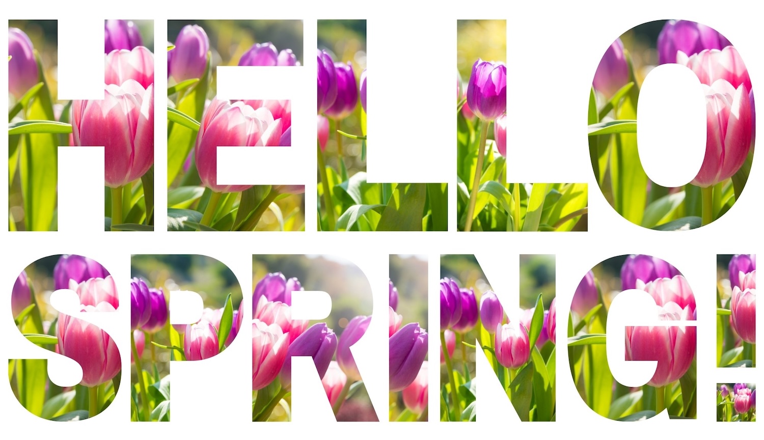 Create-Art-Studio-Hello-Spring-Header