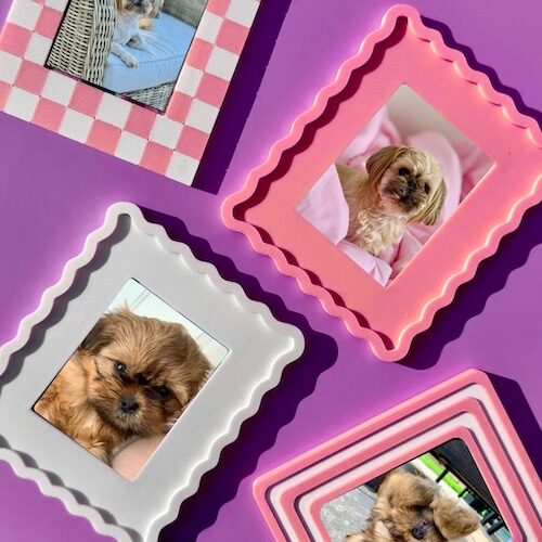Polaroid Picture Holders