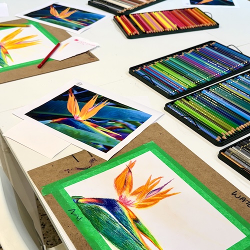 Get your kids ready to apply for specialist art programs with Portfolio Prep, a mixed media class for tweens or teens in-studio Create Art Studio