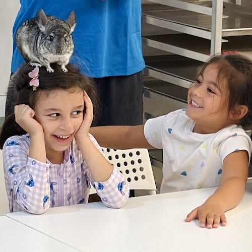 Kids, tweens and teens had so much fun creating in Create Art Studio's Art and Pottery Summer Camps, from July to August in Toronto